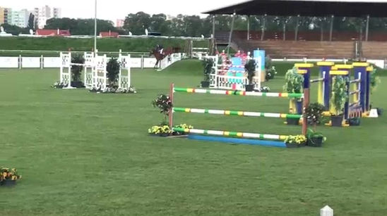 Carismo Z - Bratislava 4* 1.60m